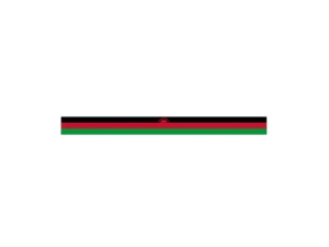 Malawi eSIM