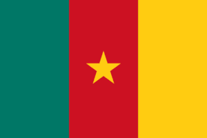 Flag of Cameroon
