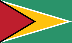Flag of Guyana